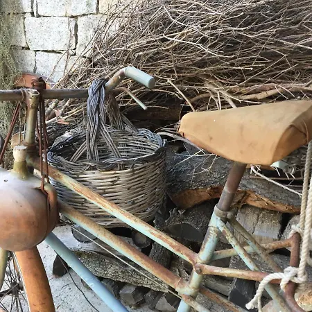Lughia Oda ve Kahvaltı Tortolì